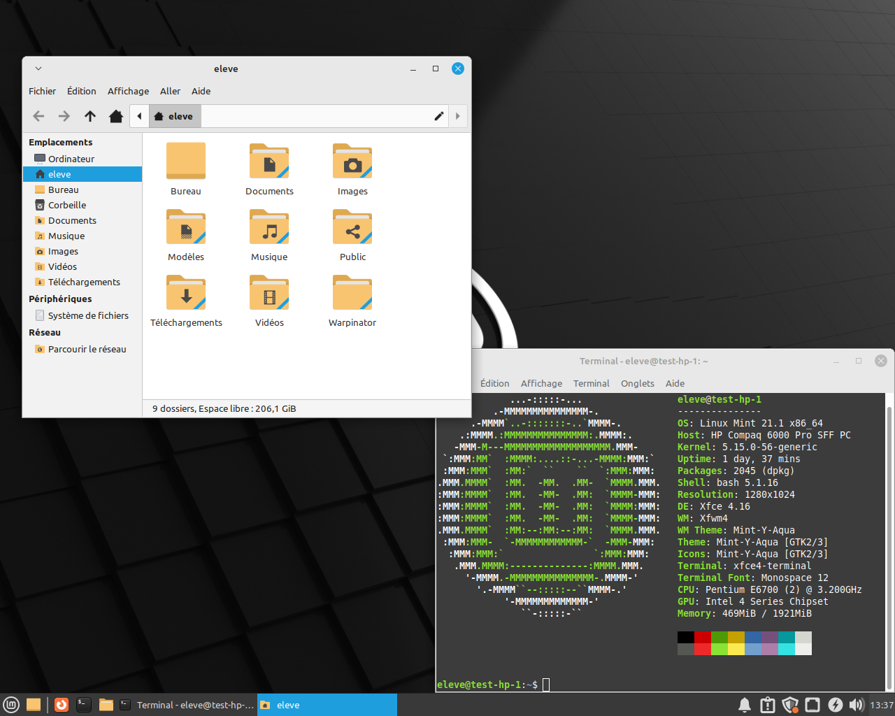 Un terminal ouvert sous Linux Mint Xfce